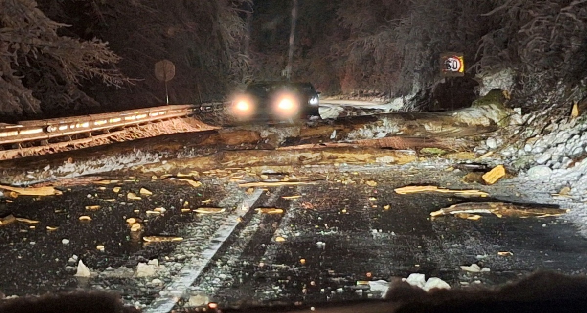 Relacija Stare žage - Črmošnjice, zgodaj zjutraj drevo na cesti. (Foto: FB PKD)