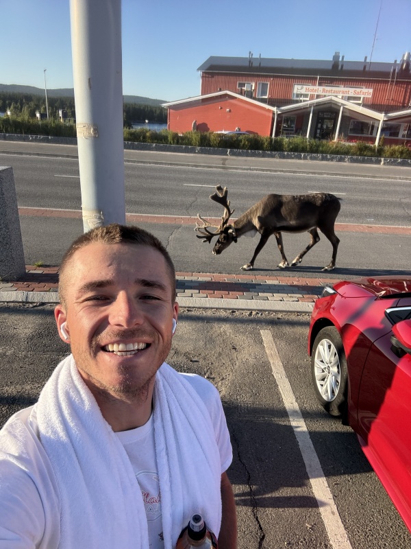 Na meji Finske in Norveške. Tam se jeleni prosto sprehajajo po ulicah. (Foto: osebni arhiv Ž. P.)