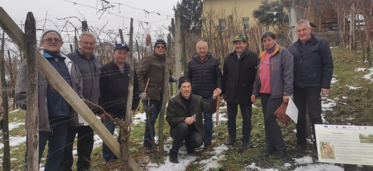 «Tudi zgodovina nas uči, da vinogradništvo v Semiških gričih ni le del  vsakdanjega življenja, temveč nosi bogato kulturno in zgodovinsko  dediščino.» (KC Semič)