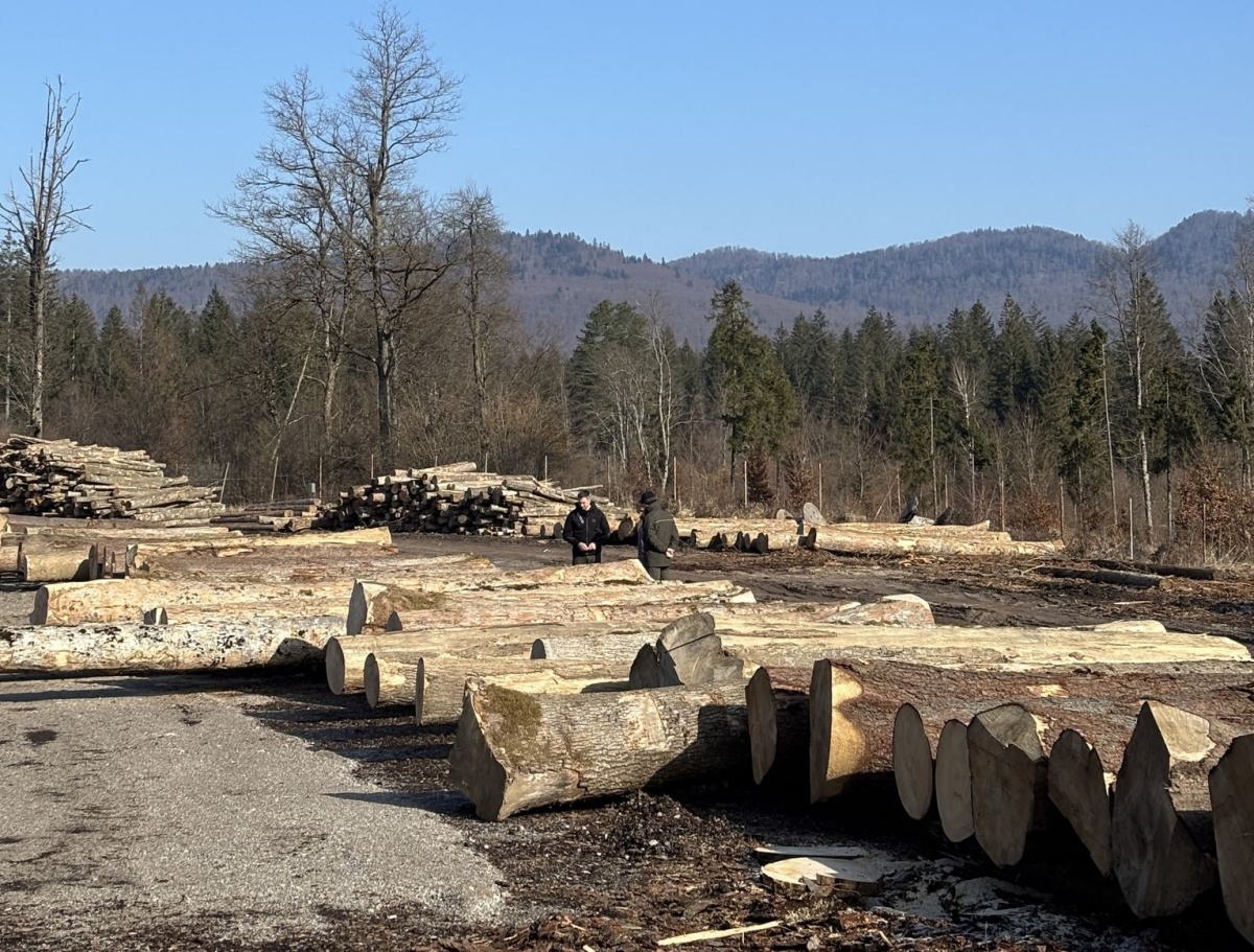 Foto: Slovenski državni gozdovi