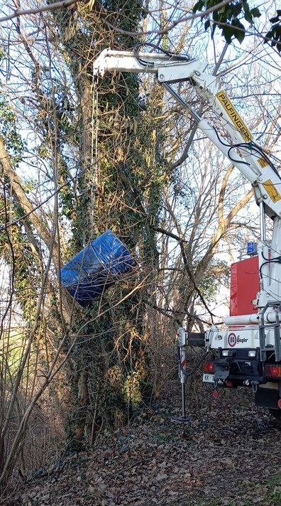 FOTO: Nevarna tekočina na brežini potoka